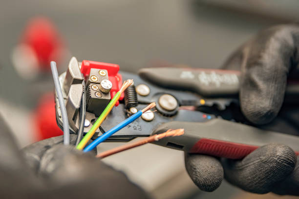 Best Electric Panel Repair  in Alva, FL